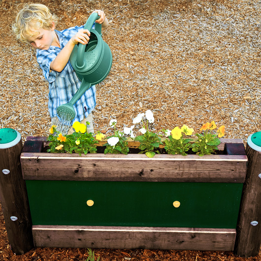Green Thumb Planter Box